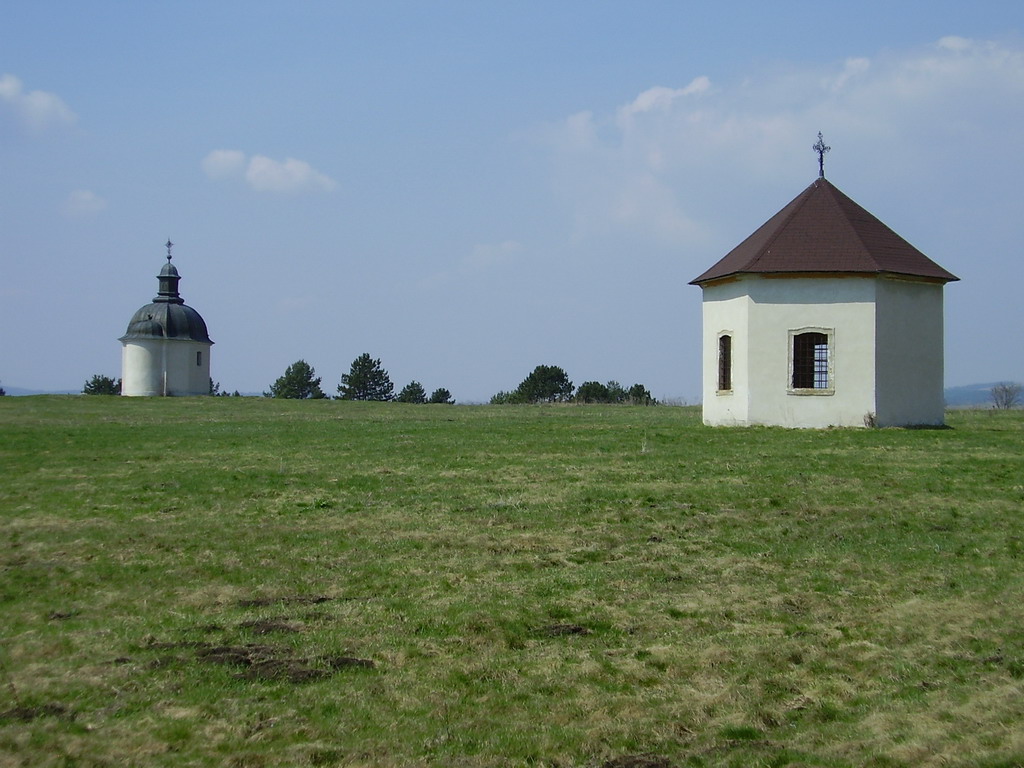P4220042_1024.jpg